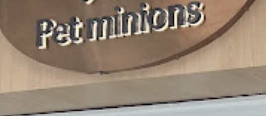 推介: 寵物兵團 Pet minions