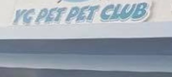 推介: YG Pet Pet Club