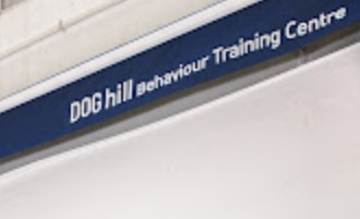 推介: Dog Hill Behavior Training Centre