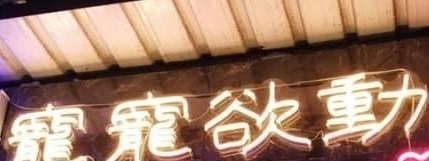 推介: 寵寵欲動 Pets Forever Love