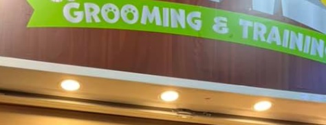 推介: NY12 威爾斯歌基專門店