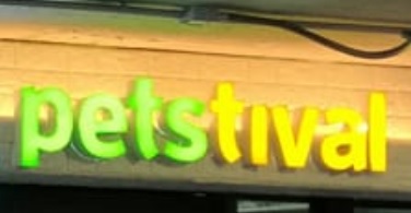 推介: 寵藝坊 Petstival