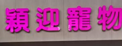 推介: 穎迎寵物