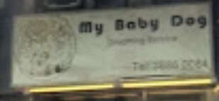 推介: MY BABY DOG