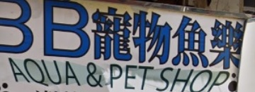 推介: BB寵物魚樂