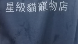 推介: 星級貓寵物店