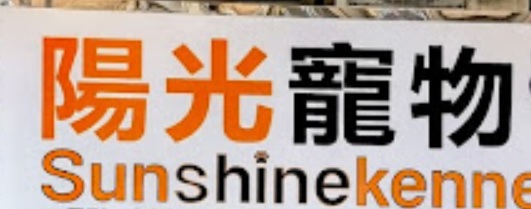 推介: 陽光寵物店 Sunshine Kennel