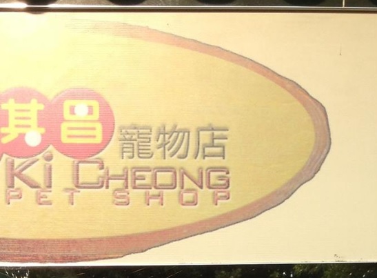 推介: 其昌寵物店