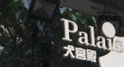 推介: 犬宮殿 Palais De Dog