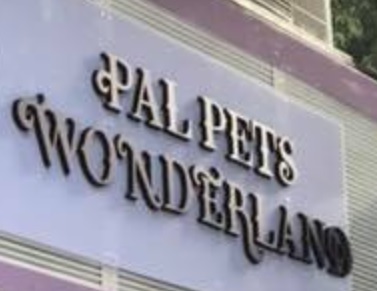 推介: PAL PETS WONDERLAND