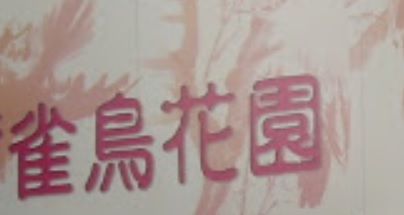 推介: 生隆雀鳥
