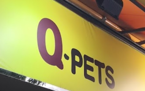 推介: Q-PETs (馬鞍山廣場)