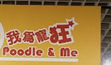 推介: 我為寵狂 Poodle & Me