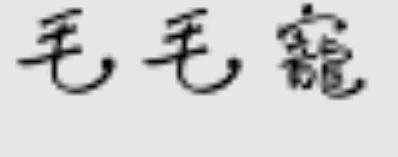 推介: 毛毛寵 Pro PETssional