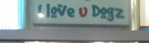 推介: I Love U Dogz