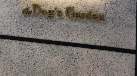 推介: The Dog's Garden (新城市廣場)