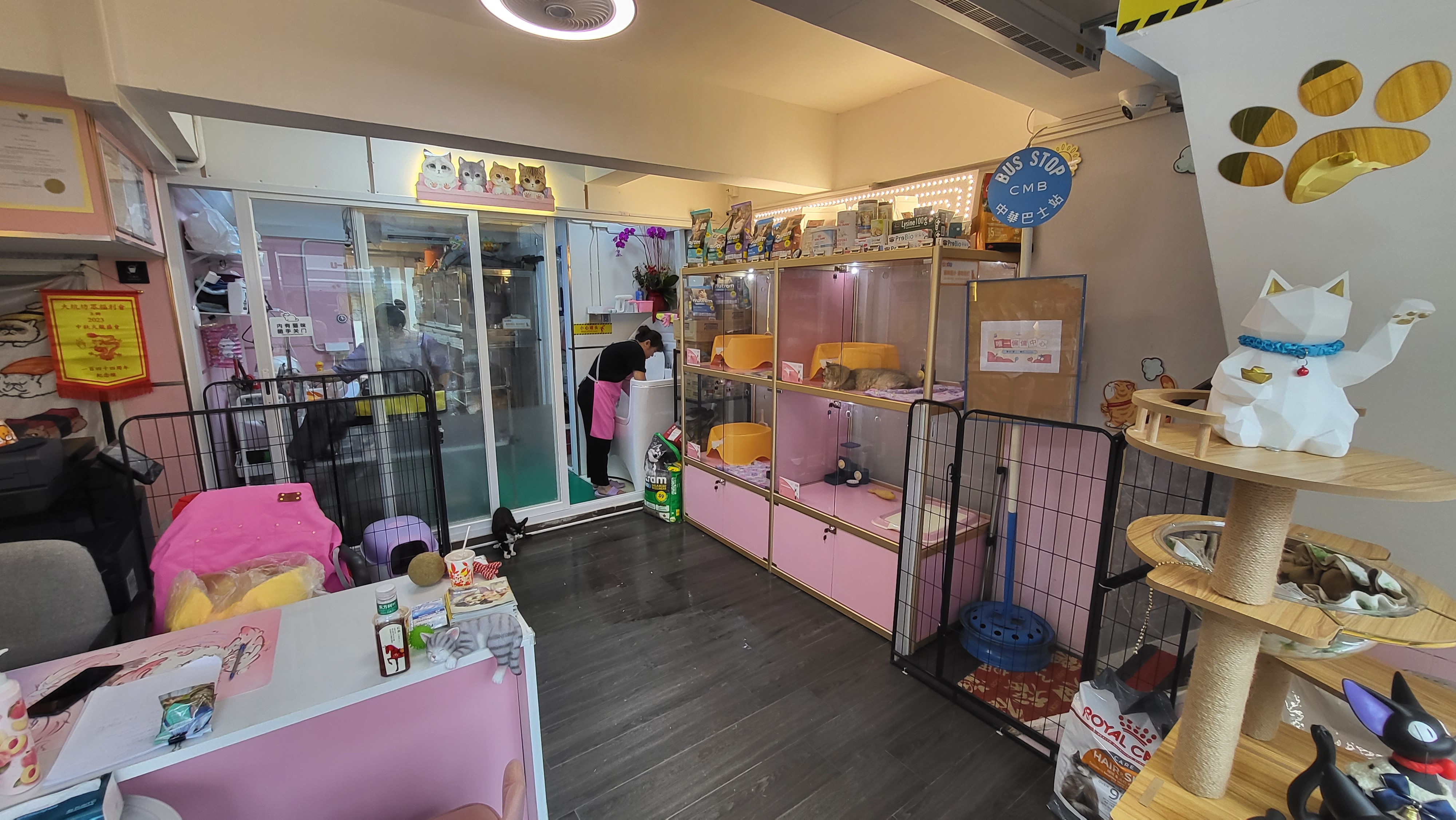 推介: U-MI PET  SERVICE 唯一寵物樂園