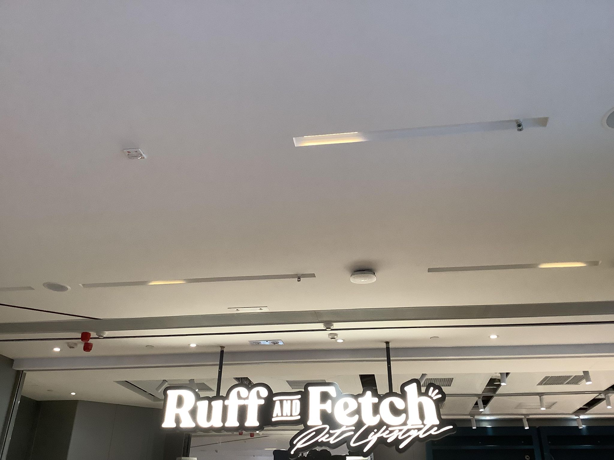 推介: 拉夫寵物生活 RUFF & FETCH (啟德 Airside)