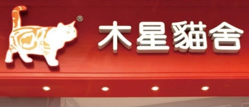 推介: 木星貓舍 Salajupiter Cattery