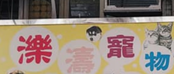 推介: 濼濤寵物美容店