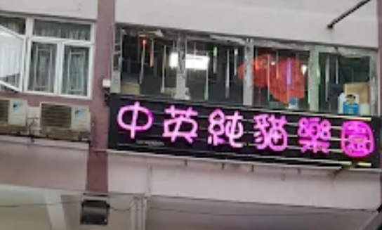 推介: 中英純貓樂園