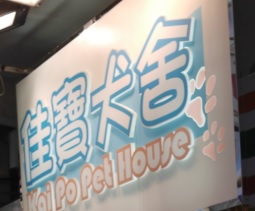推介: 佳寶犬舍