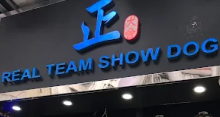 推介: 正犬舍 REAL TEAM SHOW DOG