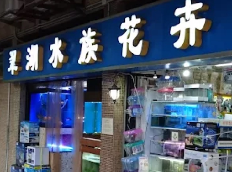 推介: 翠湖水族花卉店