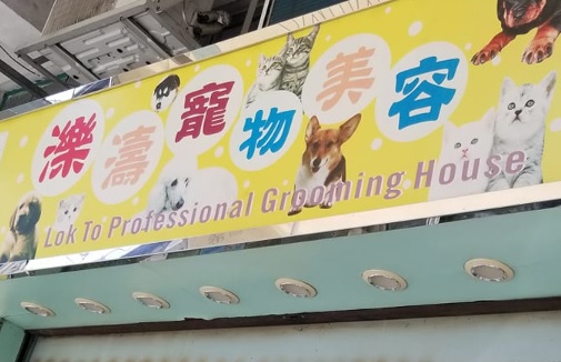 推介: 濼濤寵物美容店