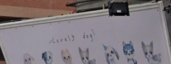 推介: Lovely Dog