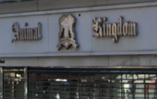 香港獸醫診所推薦: Animal Kingdom Veterinary Hospital 動物王國醫院