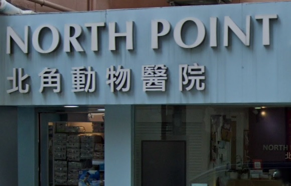 香港獸醫診所推薦: 北角動物醫院 North Point Animal Hospital - 24小時服務