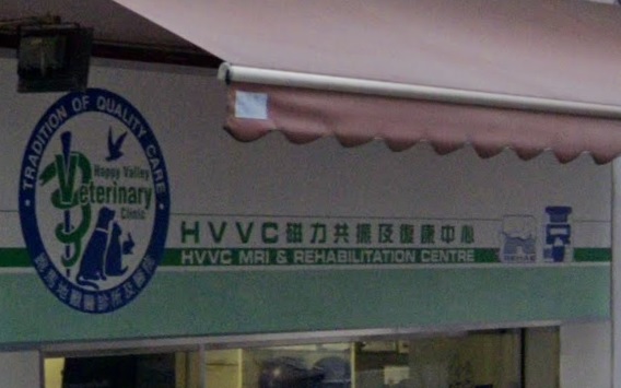 香港獸醫診所推薦: HVVC 跑馬地獸醫診所及醫院