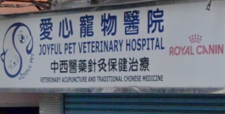 香港獸醫診所推薦: 愛心寵物醫院