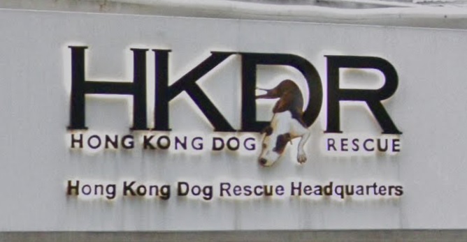 推介: 救狗之家 Hong Kong Dog Rescue (HKDR) 
