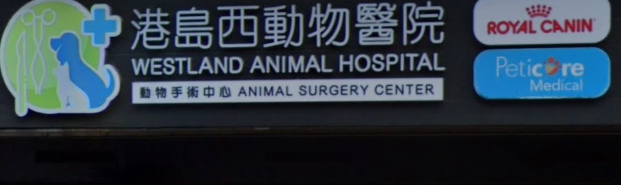 香港獸醫診所推薦: 港島西動物醫院 (24 小時營業)