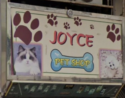 推介: joyce pet shop