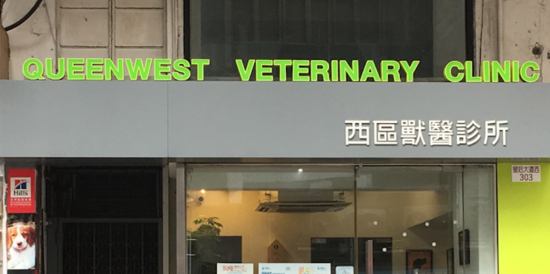 香港獸醫診所推薦: 西區獸醫診所