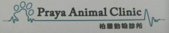 香港獸醫診所推薦: 柏雅動物診所 PRAYA ANIMAL CLINIC