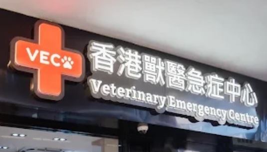 香港獸醫診所推薦: VEC 香港獸醫急症中心 (24 小時)