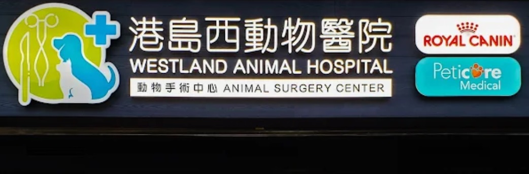 香港獸醫診所推薦: 珍寵港島西動物醫院