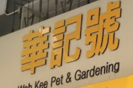 推介: 華記號 Wah Kee Shop