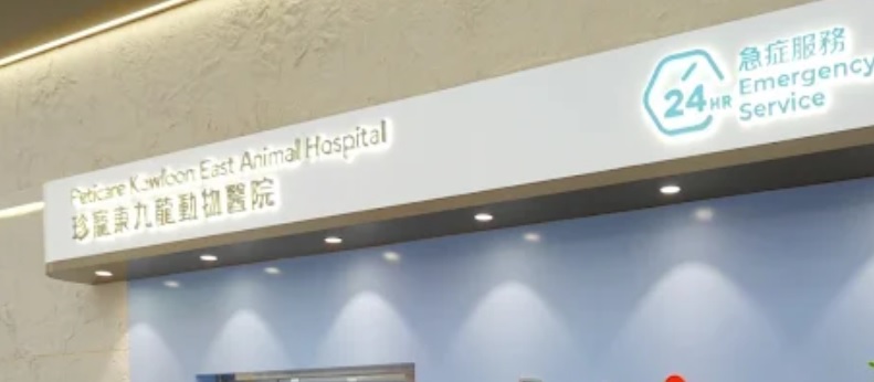 香港獸醫診所推薦: 珍寵東九龍動物醫院
