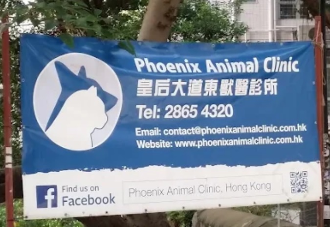 香港獸醫診所推薦: 皇后大道東獸醫診所 PHOENIX ANIMAL CLINIC