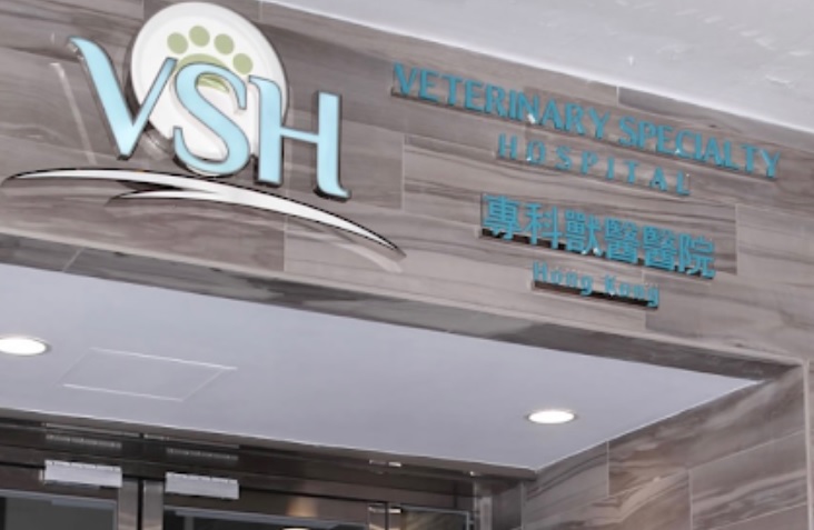 香港獸醫診所推薦: VSH 香港專科獸醫醫院 (港島) - 24小時