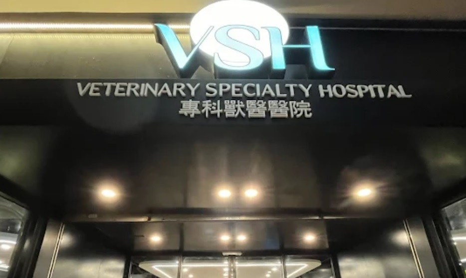 香港獸醫診所推薦: VSH 香港專科獸醫醫院 (九龍) - 24小時侯命