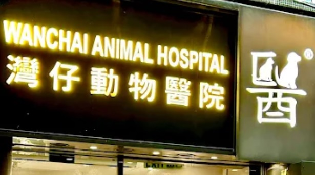 香港獸醫診所推薦: 灣仔獸醫診所 WANCHAI ANIMAL HOSPITAL