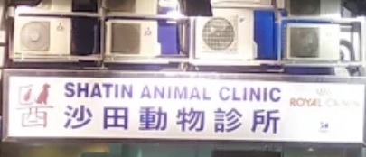 香港獸醫診所推薦: 沙田動物醫院