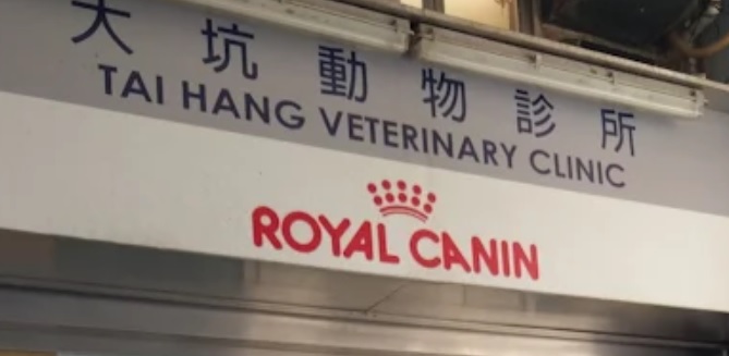 香港獸醫診所推薦: 大坑動物診所