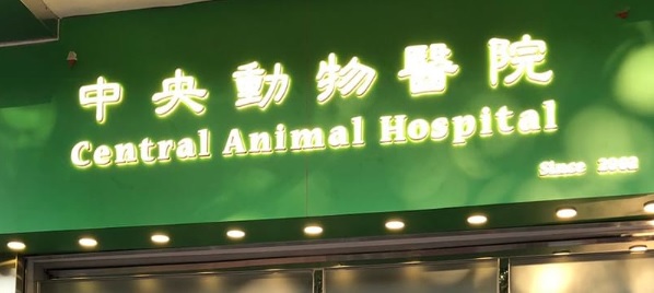 香港獸醫診所推薦: 中央動物醫院